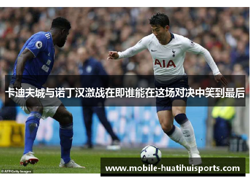 卡迪夫城与诺丁汉激战在即谁能在这场对决中笑到最后